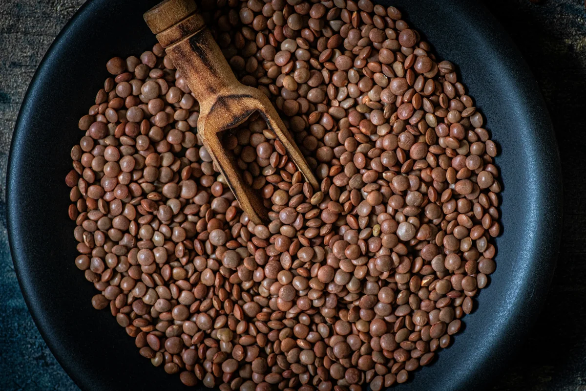 Brown Lentils