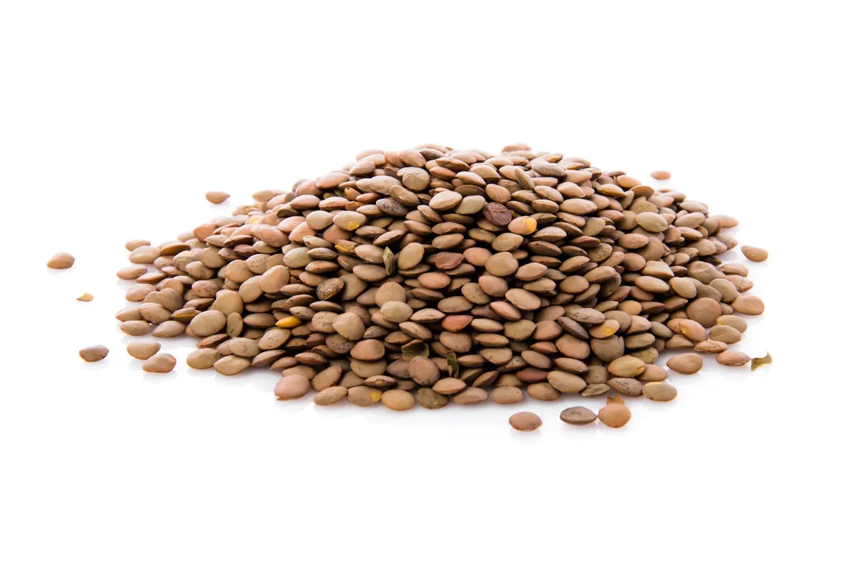Green Lentils